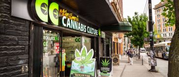 marijuana tourism jobs