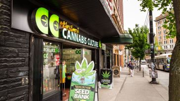 marijuana tourism jobs