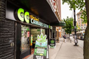 marijuana tourism jobs