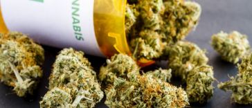 medical marijuana jobs