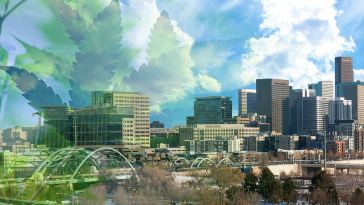Denver Marijuana Jobs