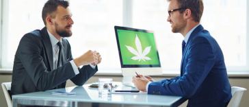 Marijuana Consulting Jobs