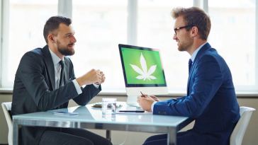 Marijuana Consulting Jobs