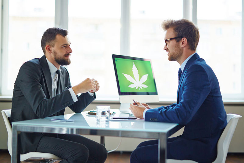 Marijuana Consulting Jobs