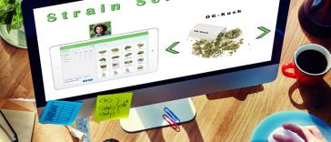 marijuana customer service jobs
