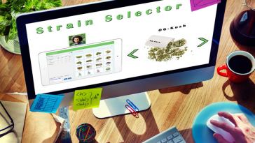 marijuana customer service jobs