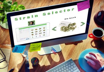 marijuana customer service jobs