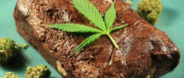 Marijuana Edibles Jobs