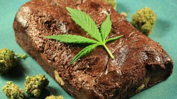 Marijuana Edibles Jobs