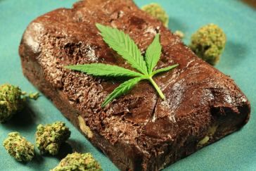 Marijuana Edibles Jobs