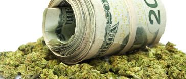 Marijuana Industry Salaries