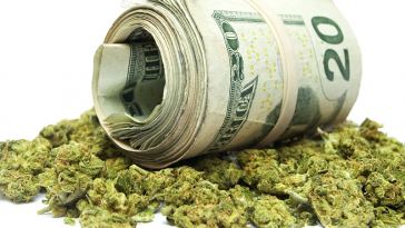 Marijuana Industry Salaries