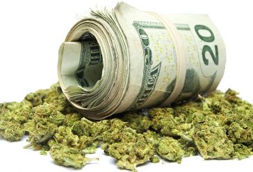 Marijuana Industry Salaries