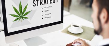 marijuana marketing jobs