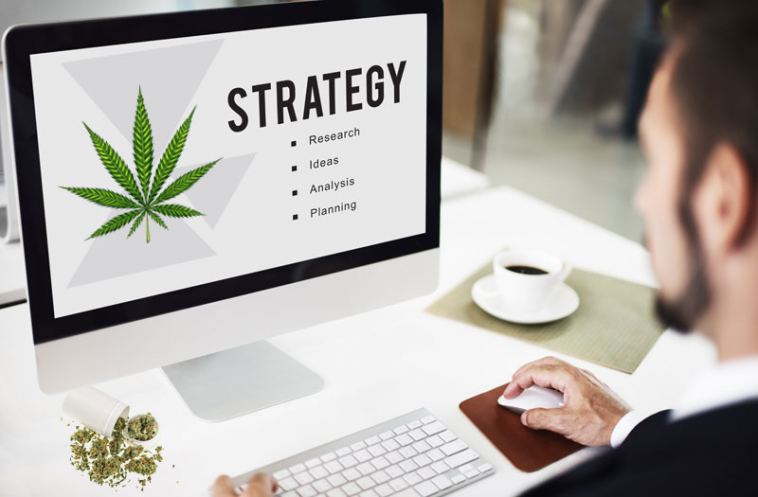 marijuana marketing jobs