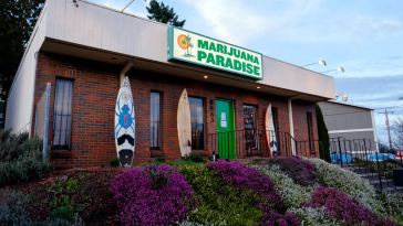 How to Get a Job in the Portland Marijuana Industry