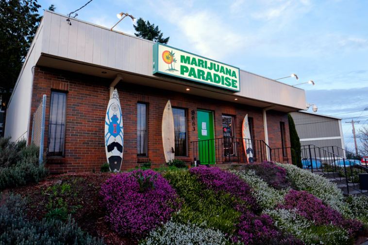 How to Get a Job in the Portland Marijuana Industry