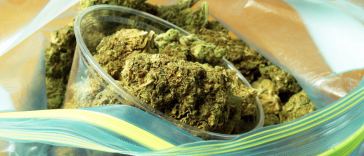 portland budtender jobs