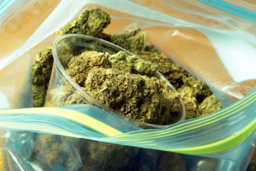 portland budtender jobs