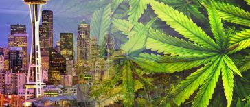 seattle marijuana jobs