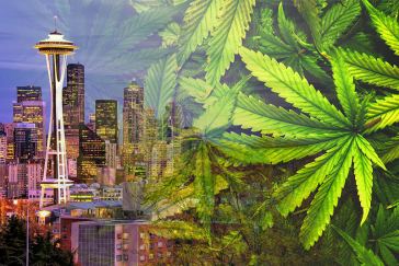 seattle marijuana jobs