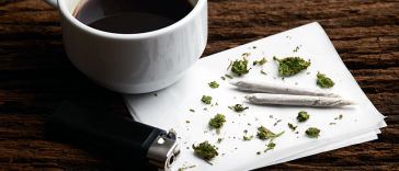 From Barista to Budtender: How to Make the Switch