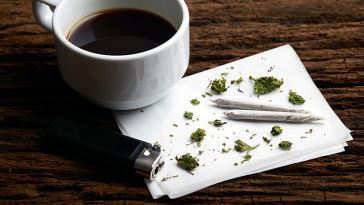 From Barista to Budtender: How to Make the Switch