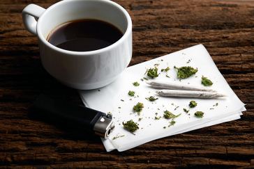 From Barista to Budtender: How to Make the Switch