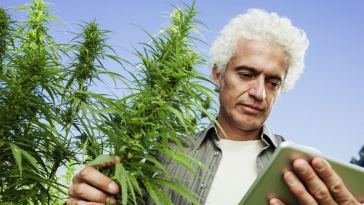 Best Marijuana Jobs for Introverts
