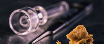 Cannabis Extraction Technician Jobs