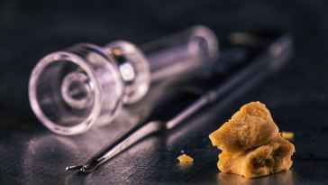 Cannabis Extraction Technician Jobs