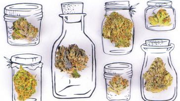 6 Tips to Becoming a Budtender