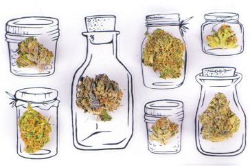 6 Tips to Becoming a Budtender