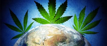 Marijuana Jobs Near Me