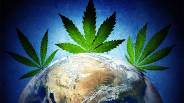 Marijuana Jobs Near Me