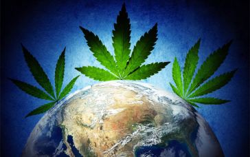 Marijuana Jobs Near Me