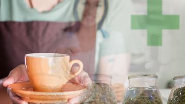 Transitioning into the Legal Marijuana Industry