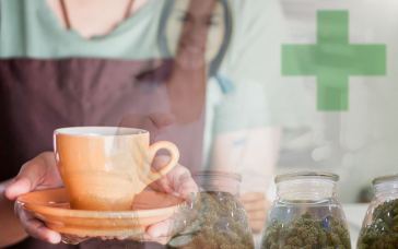Transitioning into the Legal Marijuana Industry