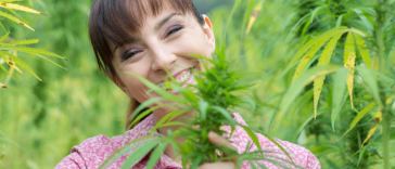 marijuana jobs