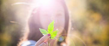 marijuana education paths