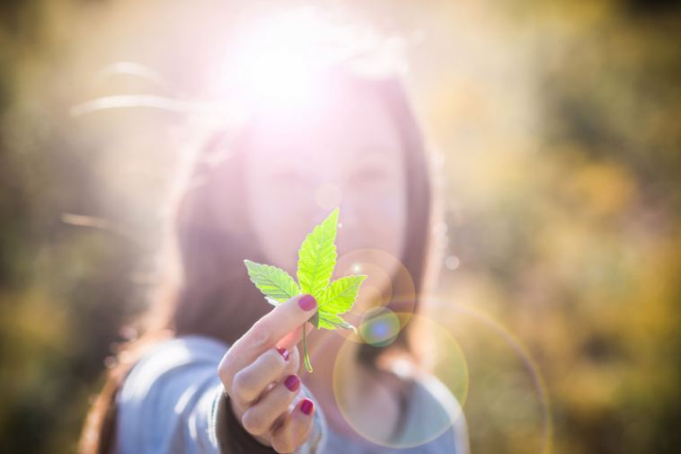 marijuana education paths
