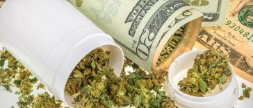 average marijuana dispensary pay