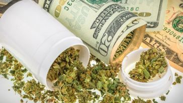 average marijuana dispensary pay