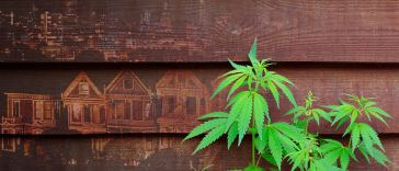 Best Cities to Work in the Marijuana Industry