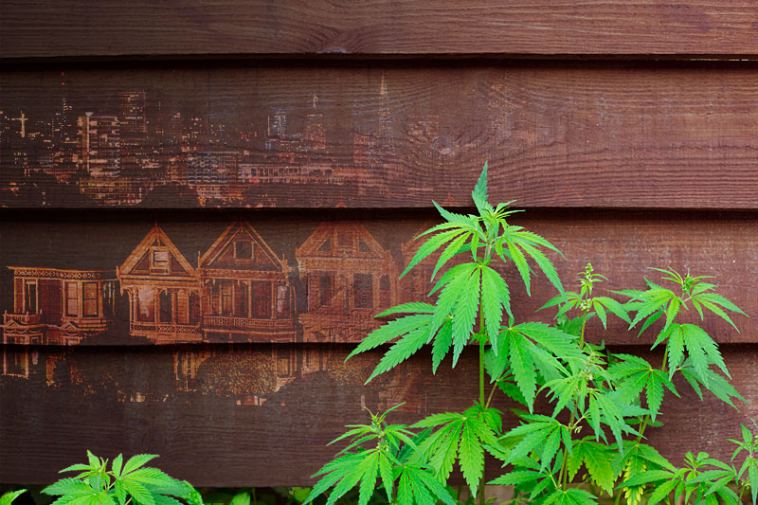 Best Cities to Work in the Marijuana Industry