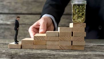 Marijuana Jobs for Entrepreneurs