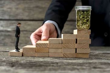 Marijuana Jobs for Entrepreneurs