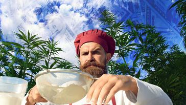 Edibles Chef Salaries