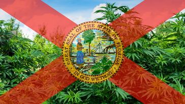 Florida Marijuana Jobs