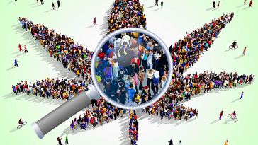 How to Find a Marijuana Job